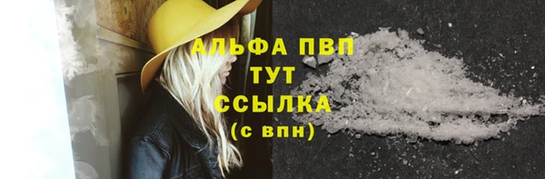 гашик Алексеевка