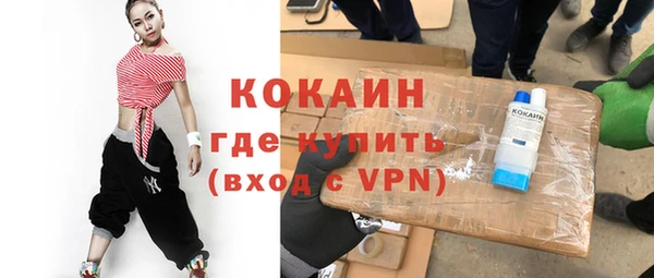 ешки Алексин