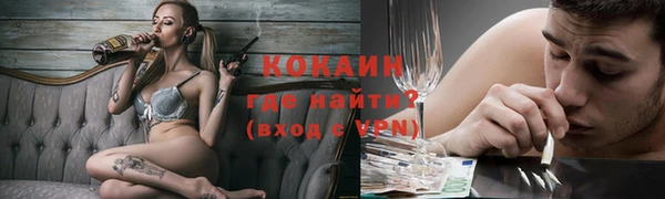 ешки Алексин