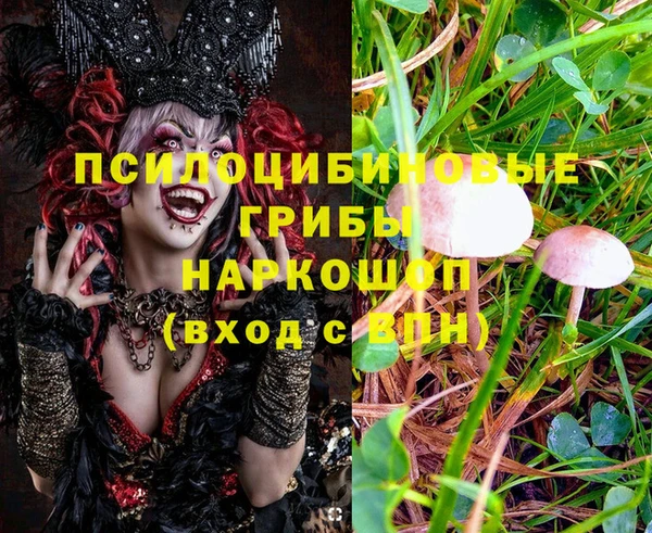 гашик Алексеевка